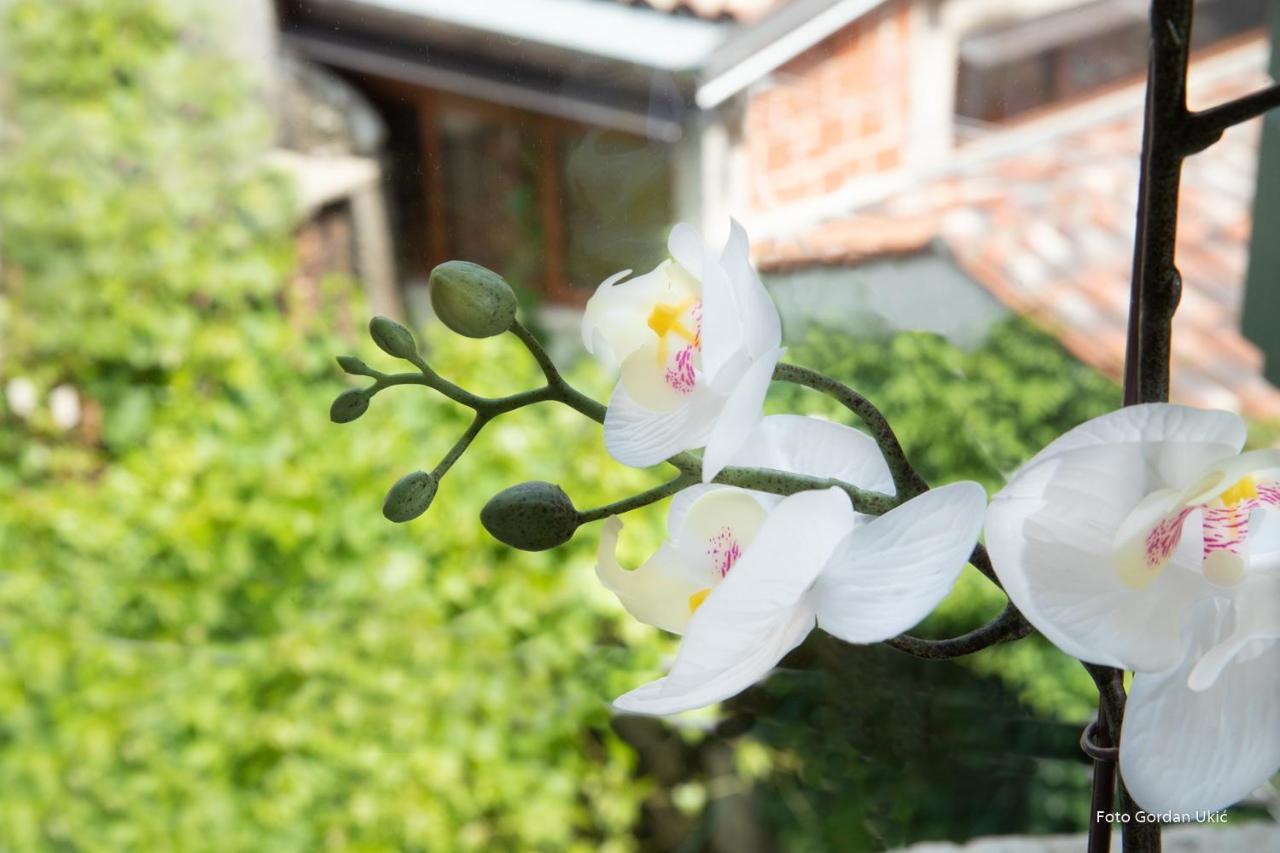 Carera Apartament